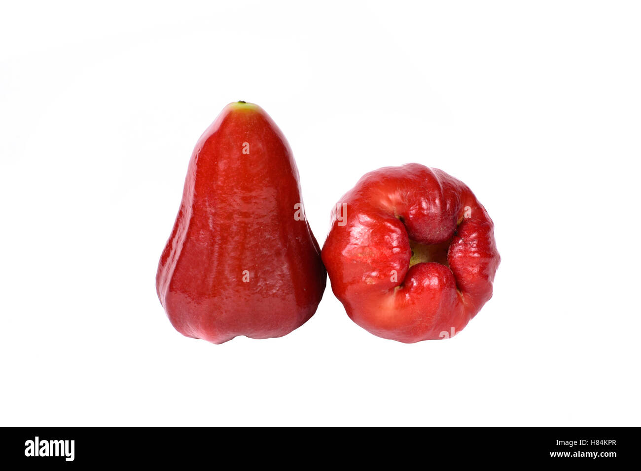 Rose apples or chomphu isolated on white background Stock Photo Alamy
