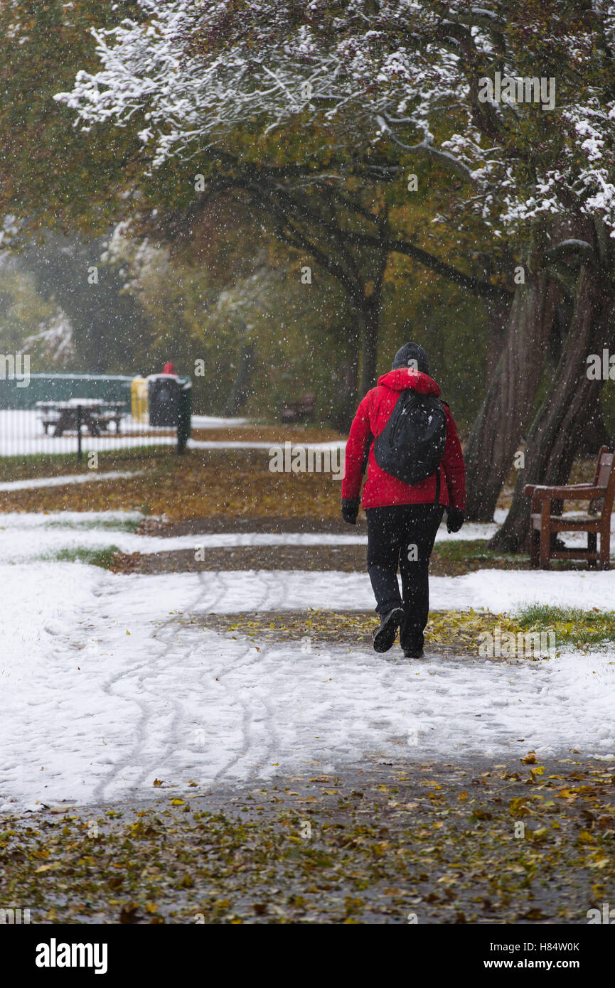 Riverside Gardens, Ilkley, West Yorkshire, UK. 9th November 2016. Female walker in Ilkley's first snowfall of 2016 - the lady, with backpack and in warm clothing, walks through Riverside Gardens Park in Autumn.  Credit:  Ian Lamond/Alamy Live News Stock Photo