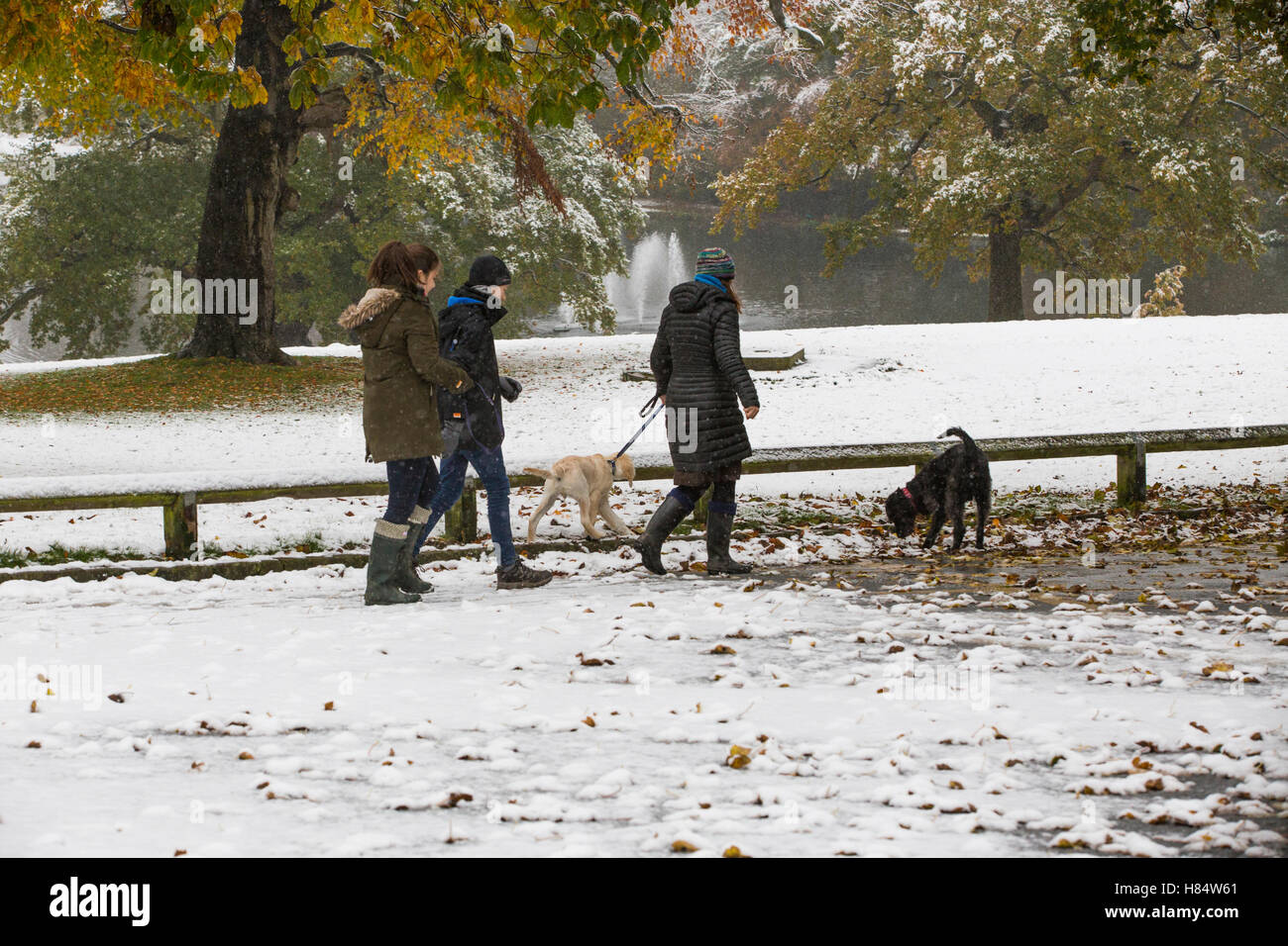 Leeds, UK. 9th Nov, 2016. A wintery start to the morning in North Leeds on 9 November.  Images taken at Roundhay Park in Leeds, where the ground was largely covered in a blanket of snow. Credit:  James Copeland/Alamy Live News Stock Photo