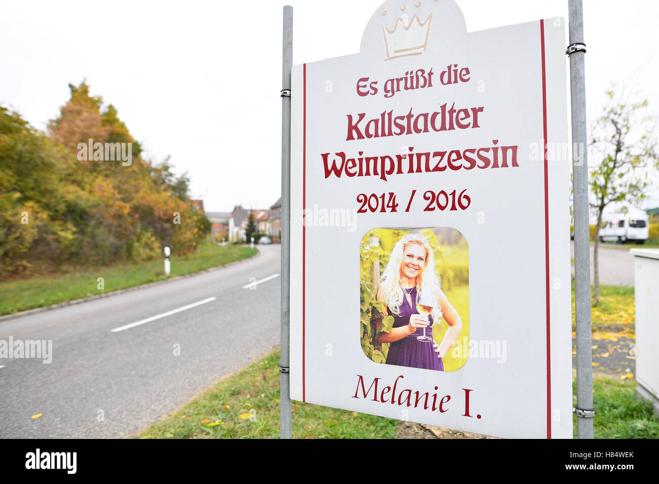 Kallstadt, Germany. 09th Nov, 2016. A sign written with 'Greetings from the Kallstadt Wine Princess greets 2014/16' at the entrance to to Kallstadt, Germany, 09 November 2016. The grandparents of real estate billionaire and future US President Donald Trump come from Kallstadt. Photo: UWE ANSPACH/dpa/Alamy Live News Stock Photo