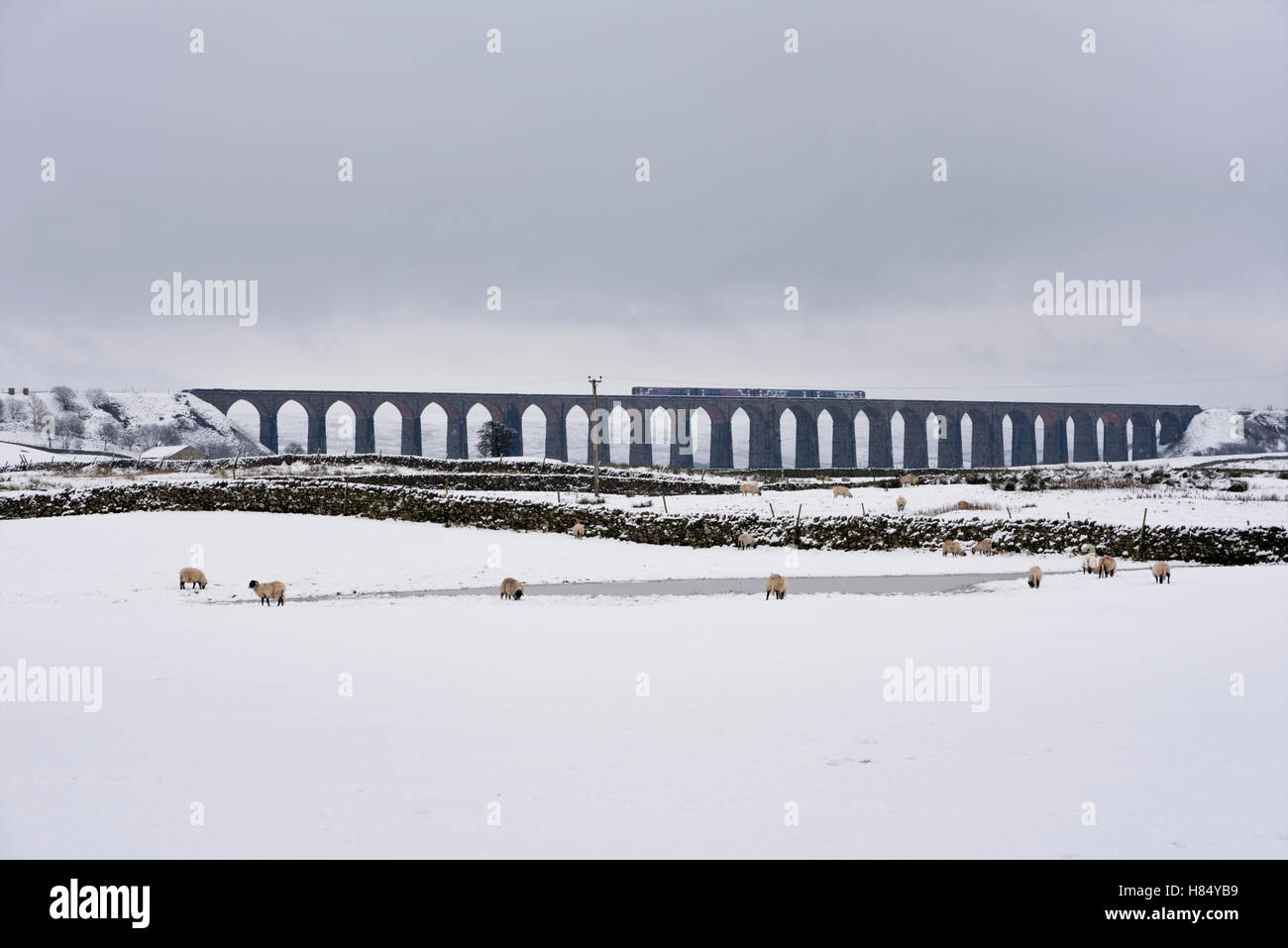 Snow at the Batty Moss Viaduct, on the Settle-Carlisle railway line, Ribblehead, North Yorkshire. Stock Photo