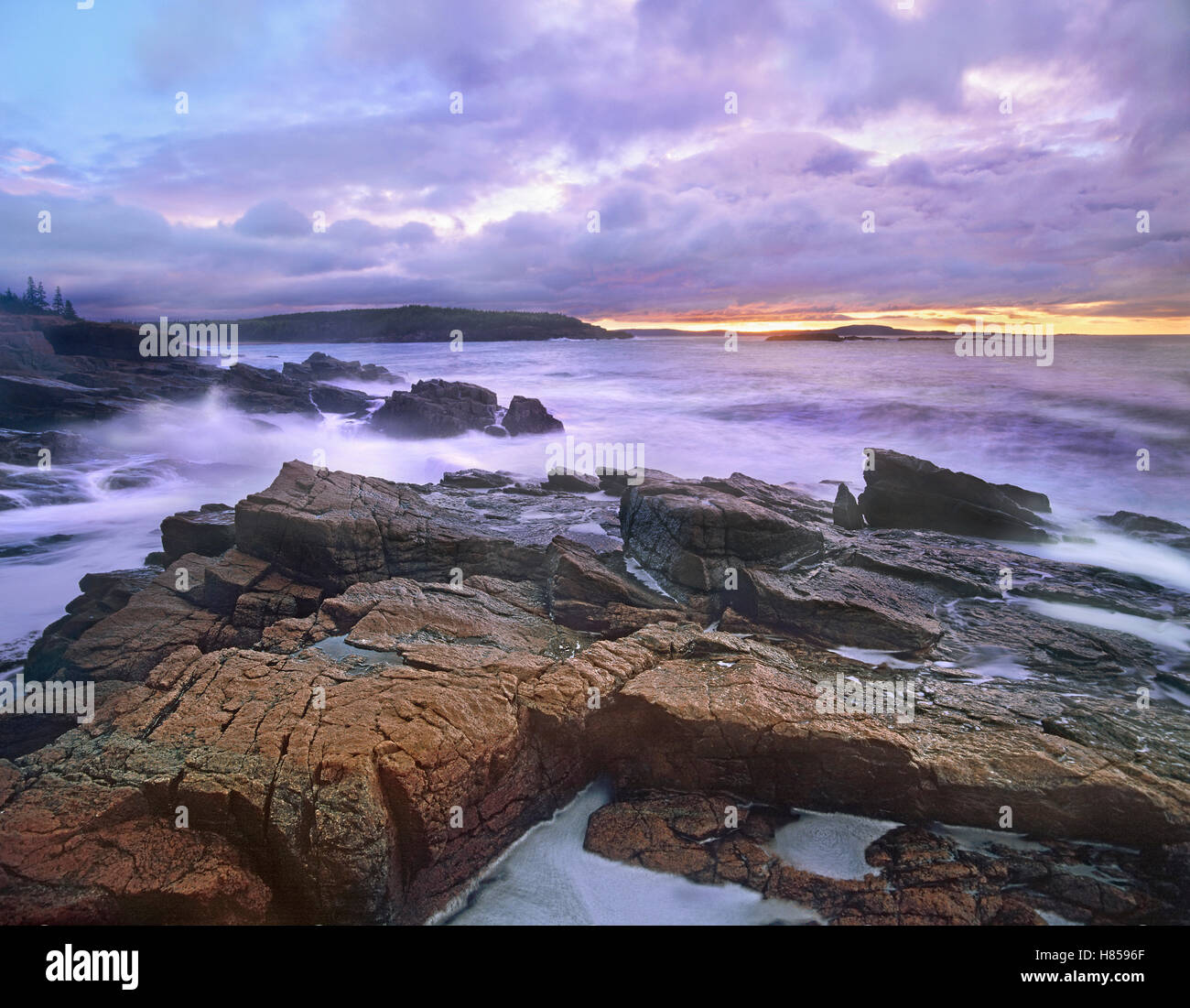 Old Soaker, Acadia National Park, Maine Stock Photo - Alamy