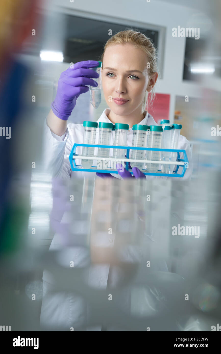 Laboratory assistant in the laboratory of of food quality.Cell culture