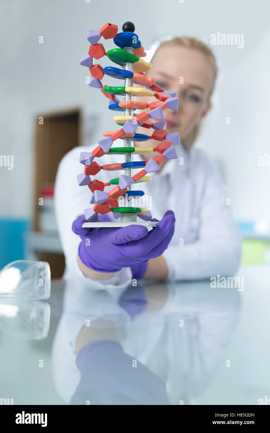 Woman scientist holding DNA molecule Stock Photo