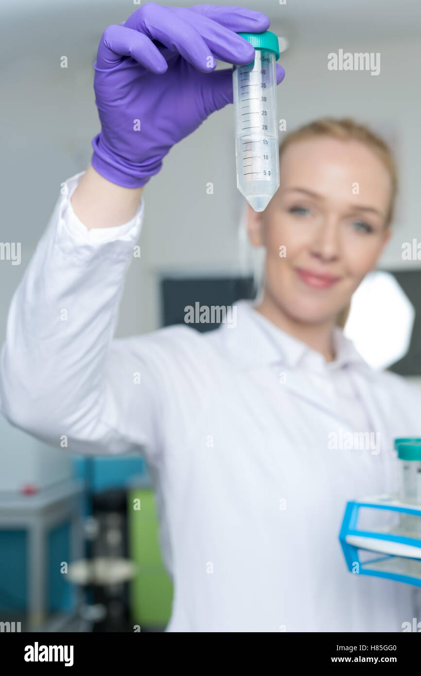 laboratory assistant analyzing a sample Stock Photo Alamy