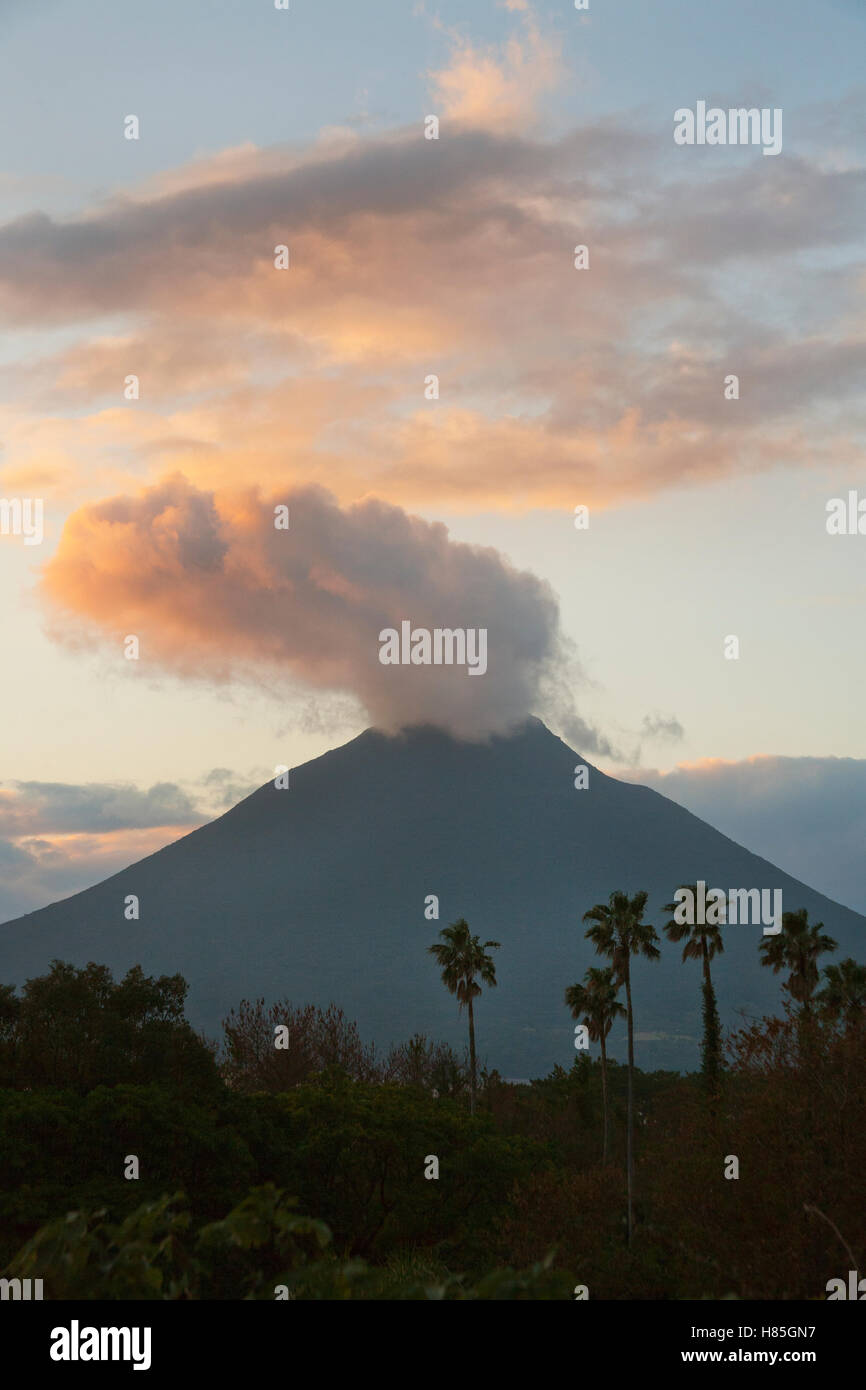 Steaming volcano at sunset, Mount Kaimondake, Satsuma Peninsula, Kyushu