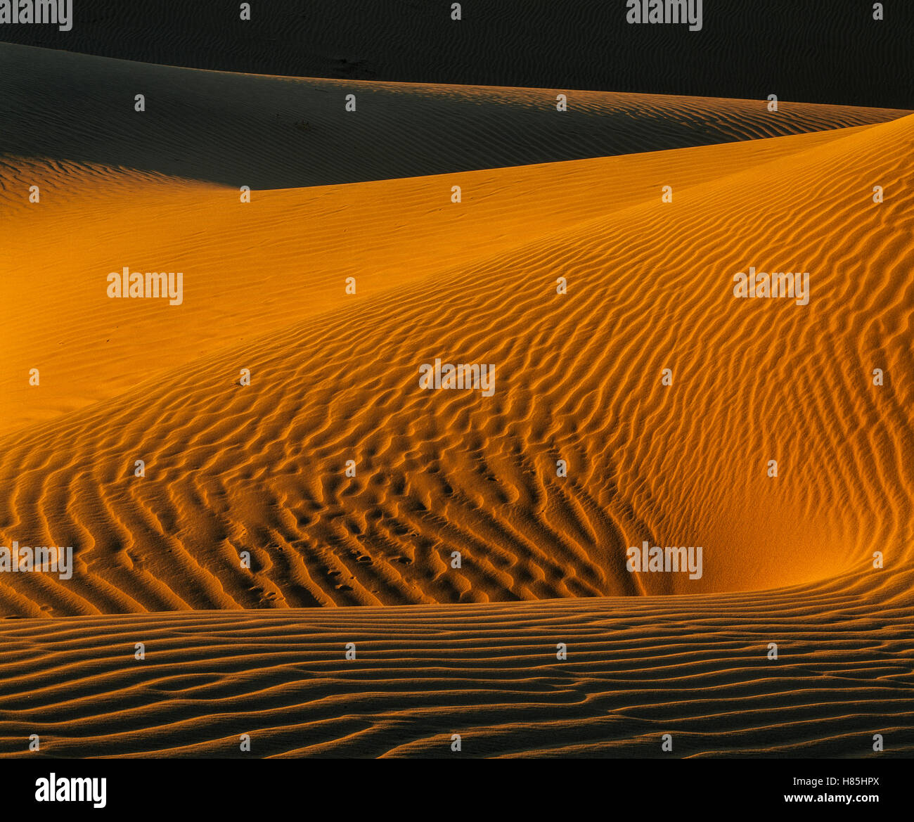 Sand dune, Mojave Desert, California Stock Photo Alamy