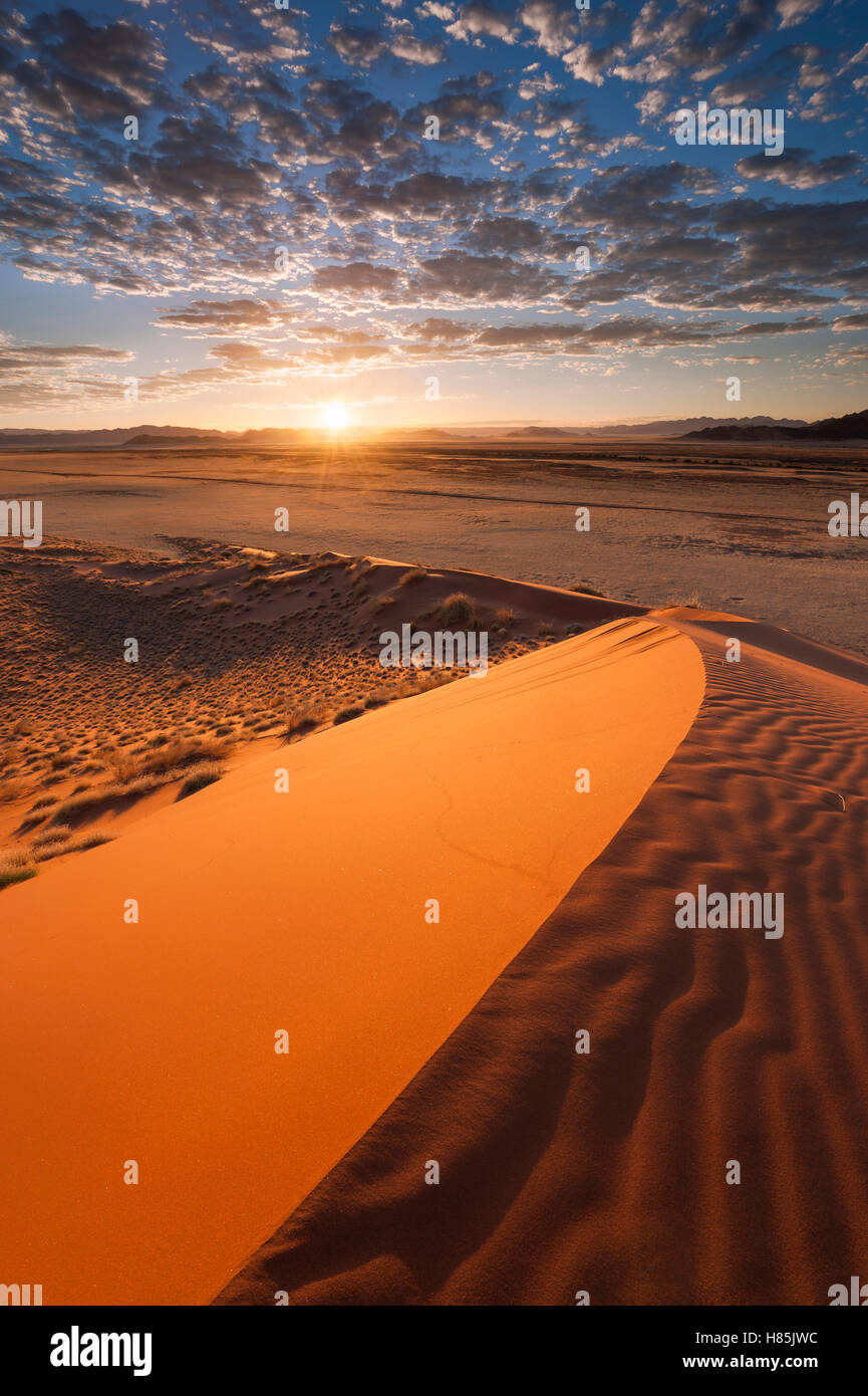 Sand dune at sunrise, Namib Naukluft National Park, Namibia Stock Photo ...