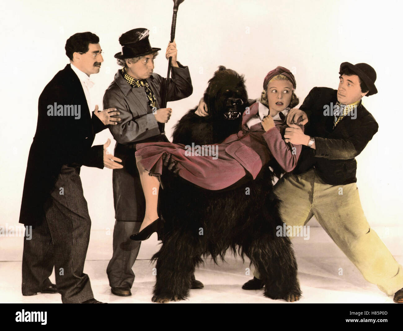 Die Marx Brothers im Zirkus, (THE MARX BROTHERS AT THE CIRCUS) USA 1939, Regie: Edward Buzzel, GROUCHO MARX, HARPO MARX, EVE GARDEN, CHICO MARX, Stichwort: Gorilla, Handgemenge, Stock Photo