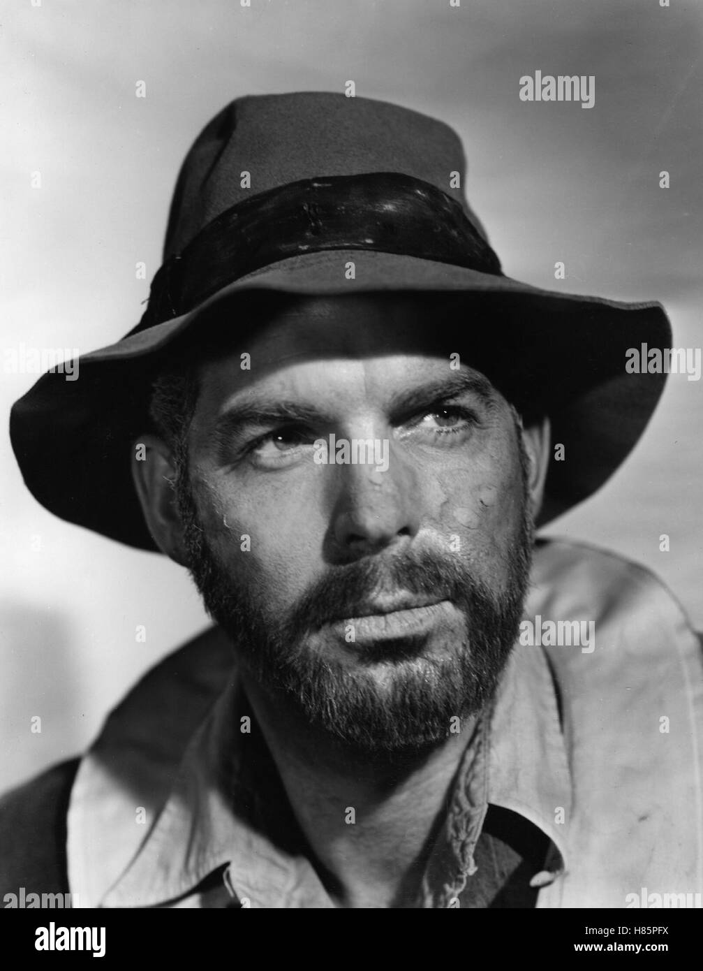 Lloyd bacon hires stock photography and images Alamy