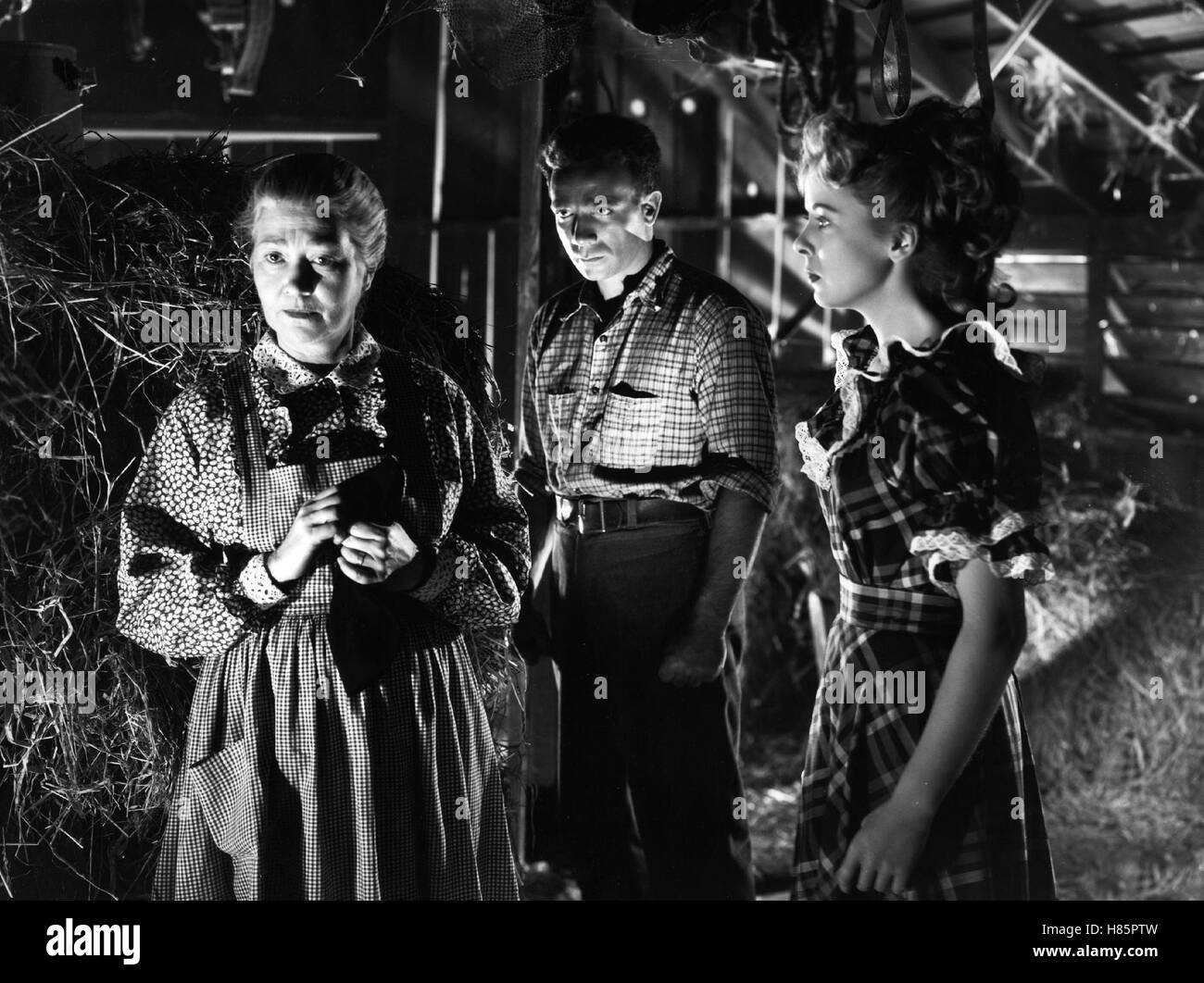 Das tiefe Tal, (DEEP VALLEY) USA 1947, Regie: Jean Negulesco, FAY BAINTER, DANE CLARK, IDA LUPINO Stock Photo