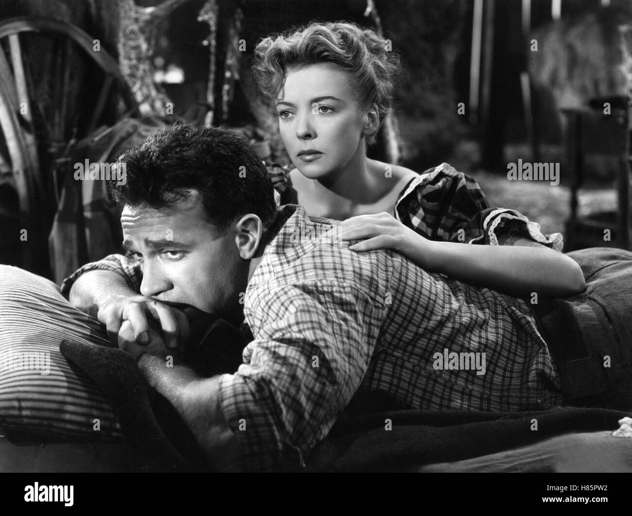 Das tiefe Tal, (DEEP VALLEY) USA 1947, Regie: Jean Negulesco, DANE CLARK, IDA LUPINO Stock Photo