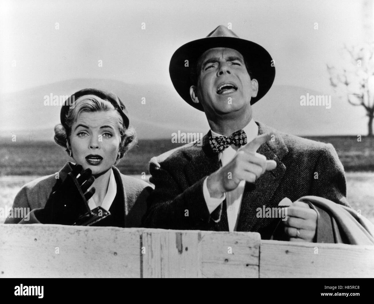 Der Cowboy, den es zweimal gab, (CALLAWAY WENT THATAWAY) USA 1951, Regie: Melvin Frank, Norman Panama, DOROTHY McGUIRE, FRED MacMURRAY Stock Photo