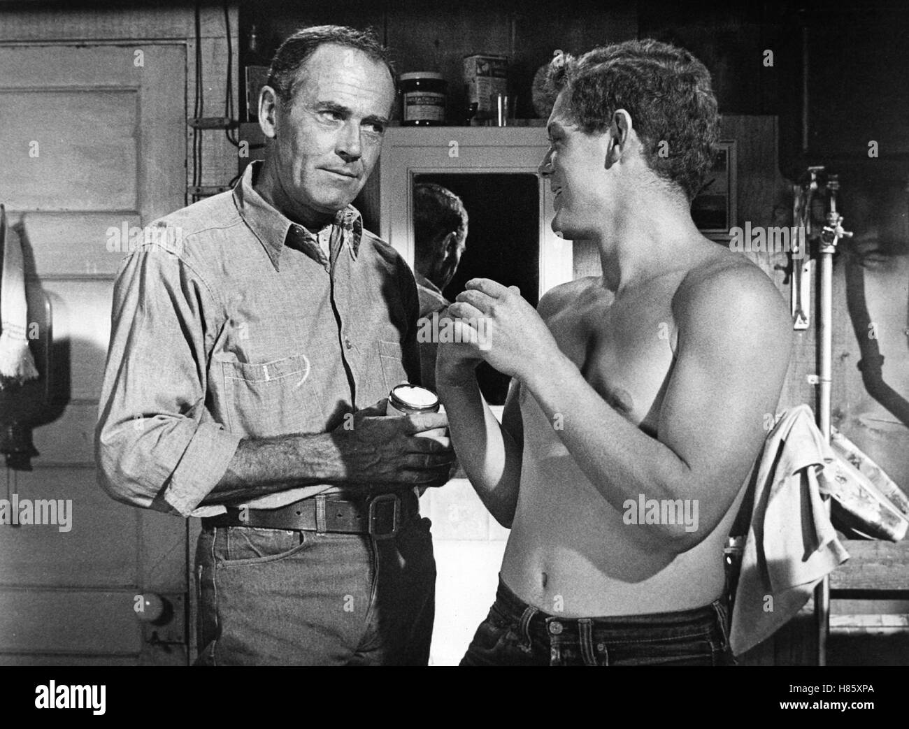 Sommer der Erwartung, (SPENCER'S MOUNTAIN) USA 1962, Regie: Delmer Daves, HENRY FONDA, JAMES MacARTHUR Stock Photo