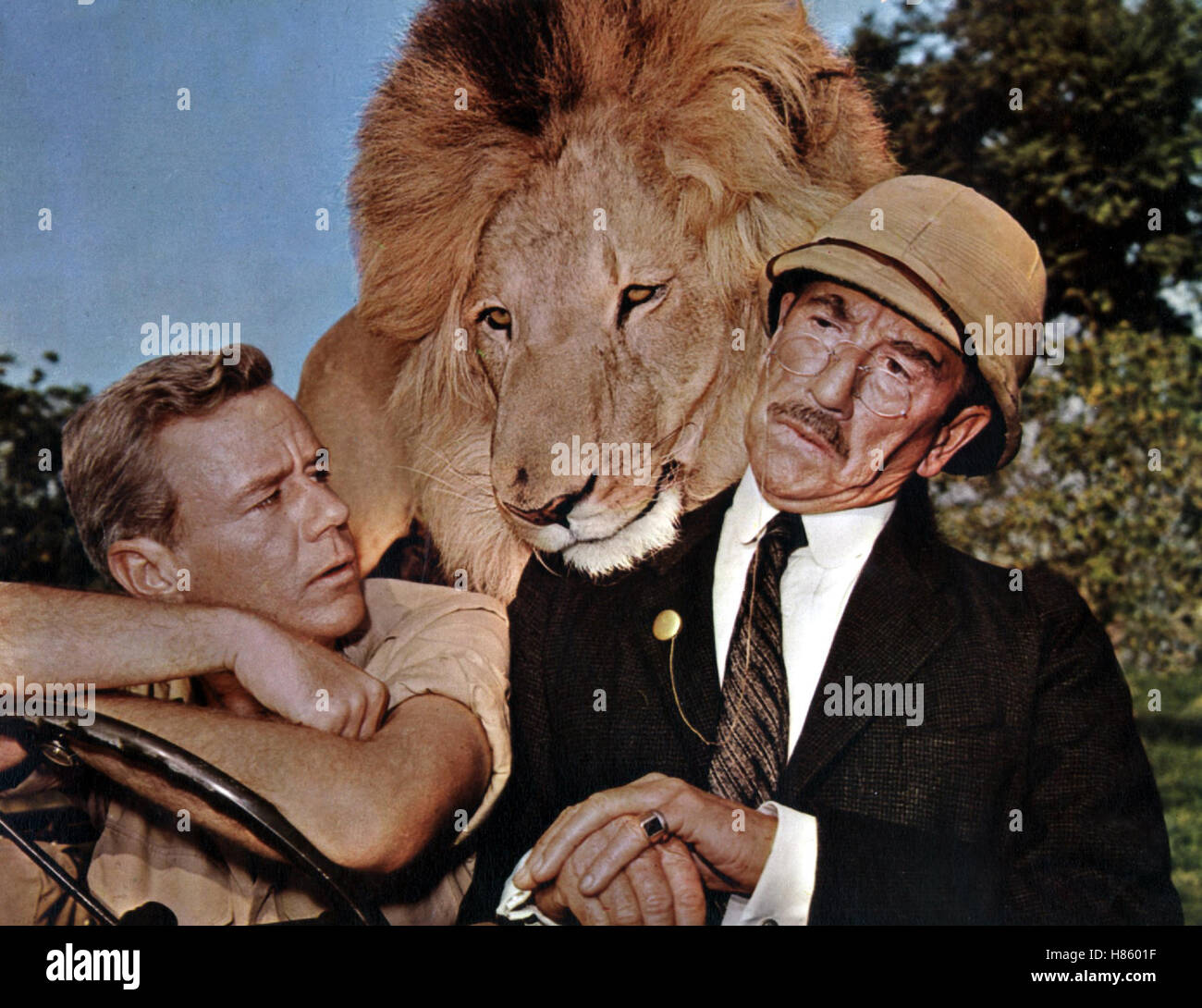 Clarence the lion hires stock photography and images Alamy