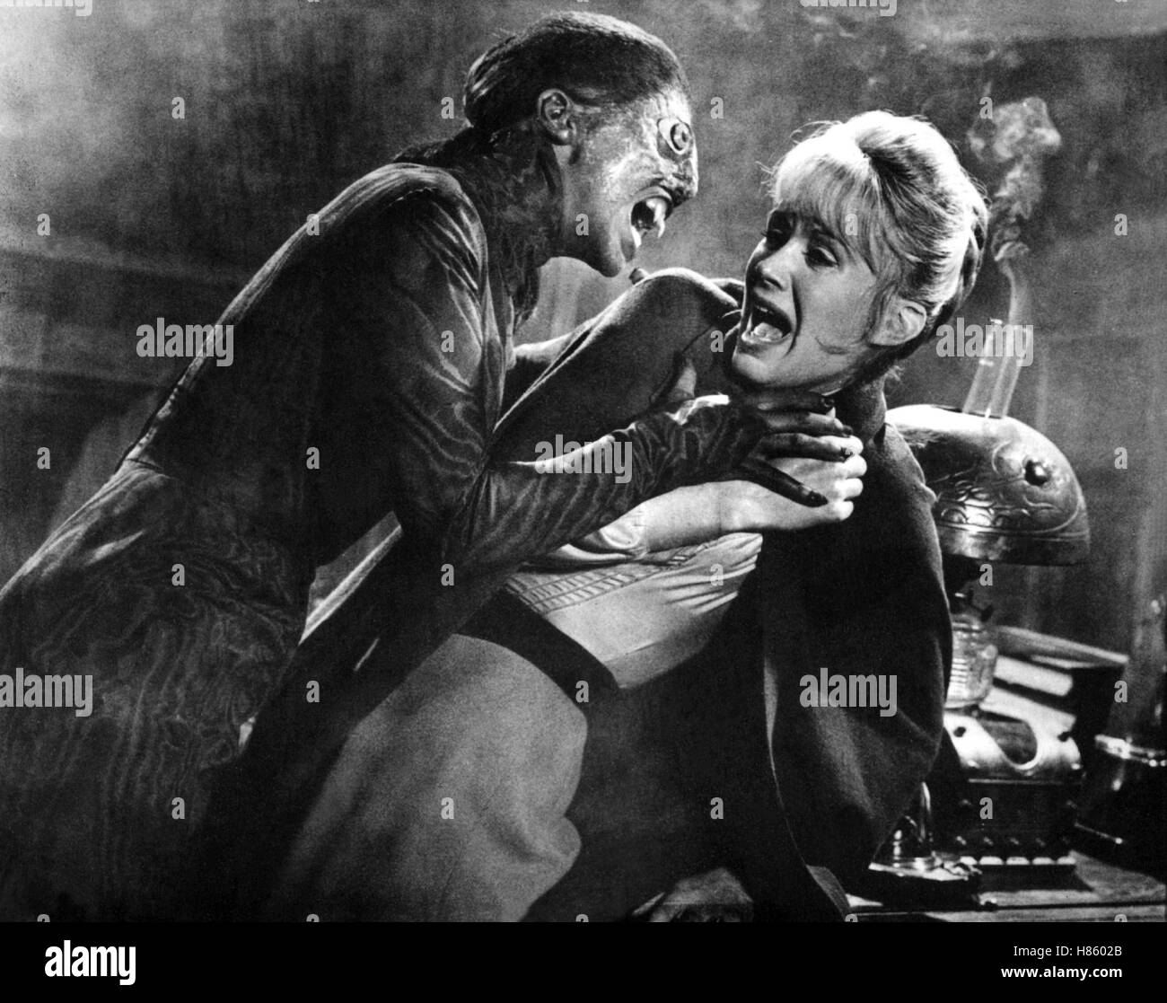 Das Schwarze Reptil Hi res Stock Photography And Images Alamy