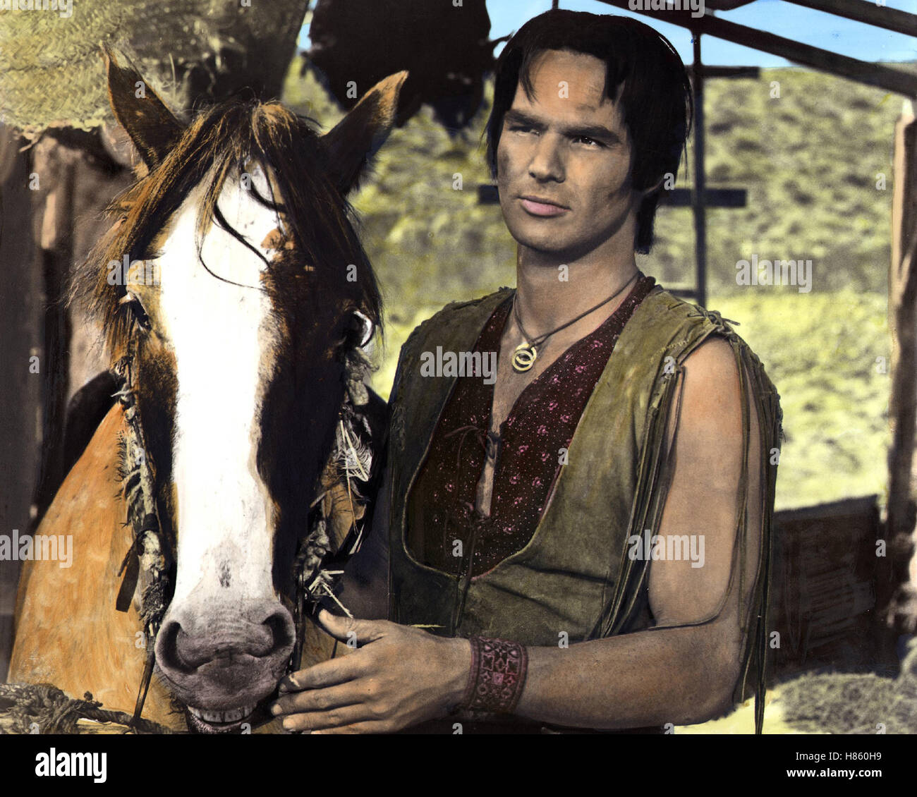 Atreyu Pferd information online