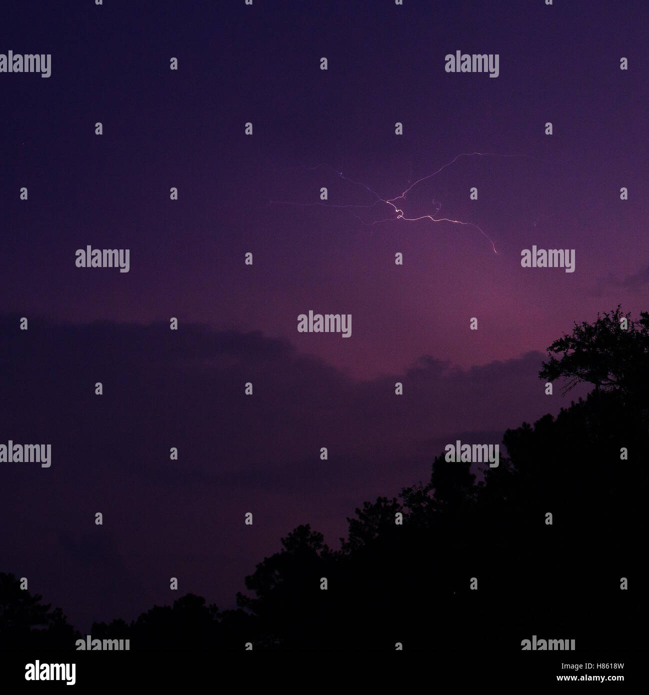 Lightning strike high in the sky over a row of trees Stock Photo - Alamy