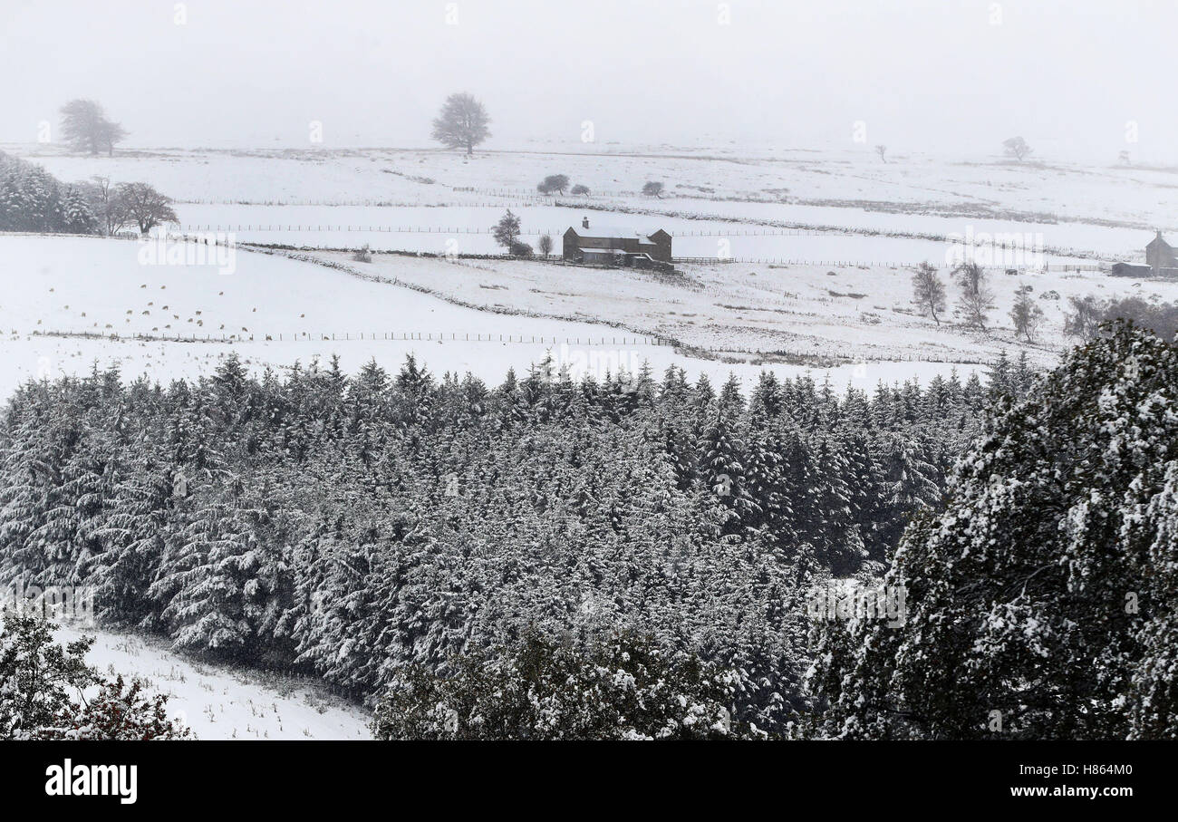 An old farm house in Hamsterley Forest in County Durham as a blizzard sweeps through after a cold snap hit parts of the United Kingdom over night. Stock Photo