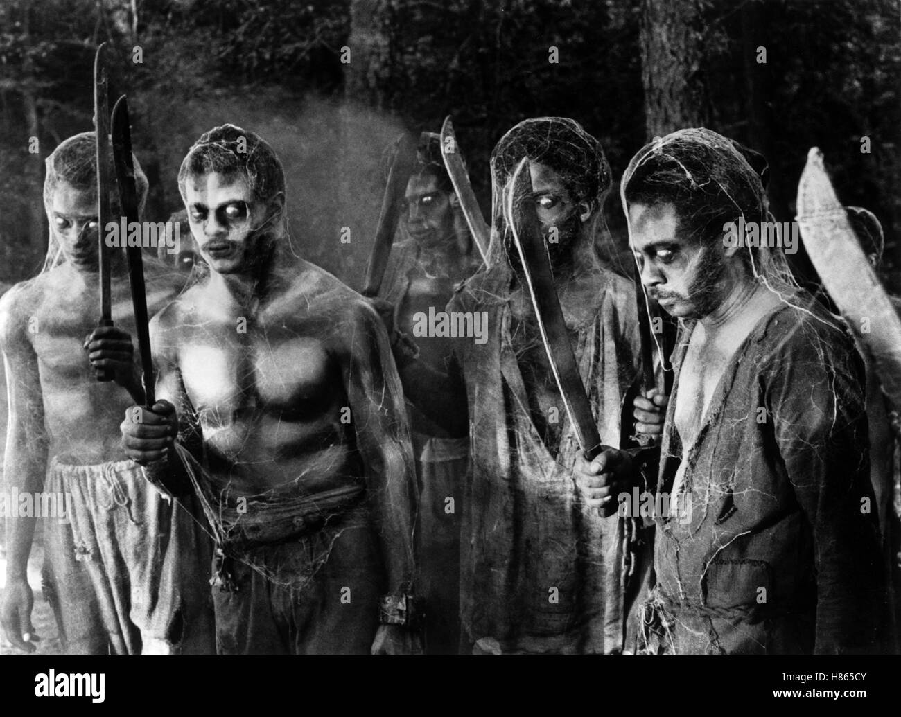 Die schwarzen Zombies von Sugar Hill, (SUGAR HILL) USA 1974, Regie: Paul Maslansky, Szene, Key: Zombie, Säbel Stock Photo