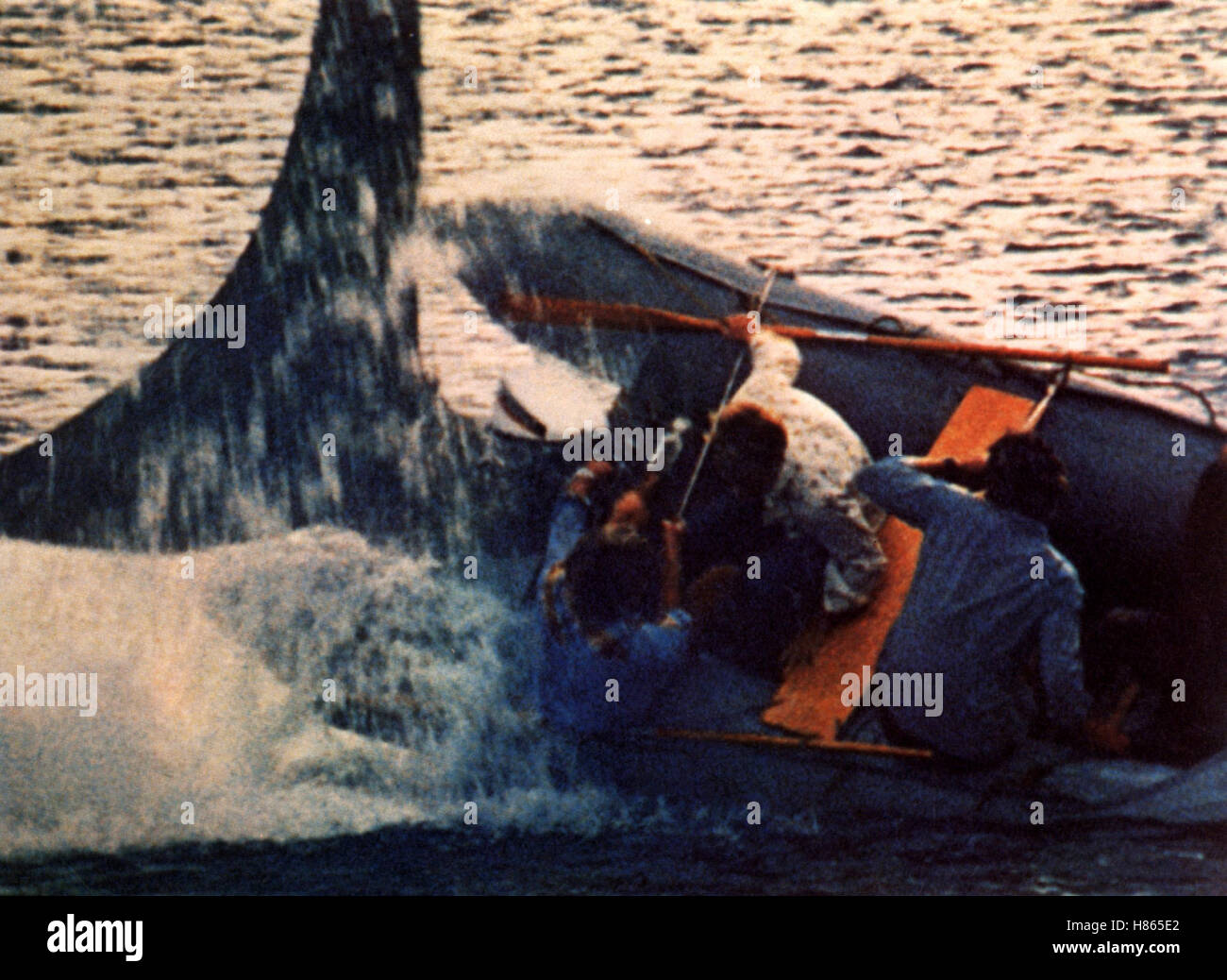 Mörderhaie greifen an, (SHARK'S TREASURE) USA 1974, Regie: Cornel Wilde, Szene: Haifisch attackiert Boot, Stichwort: Meer, Schlauchboot, Angriff, Hai Stock Photo