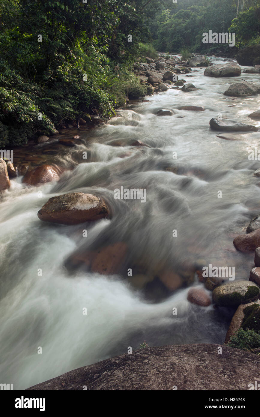 River, Amazon River, Ecuador Stock Photo - Alamy