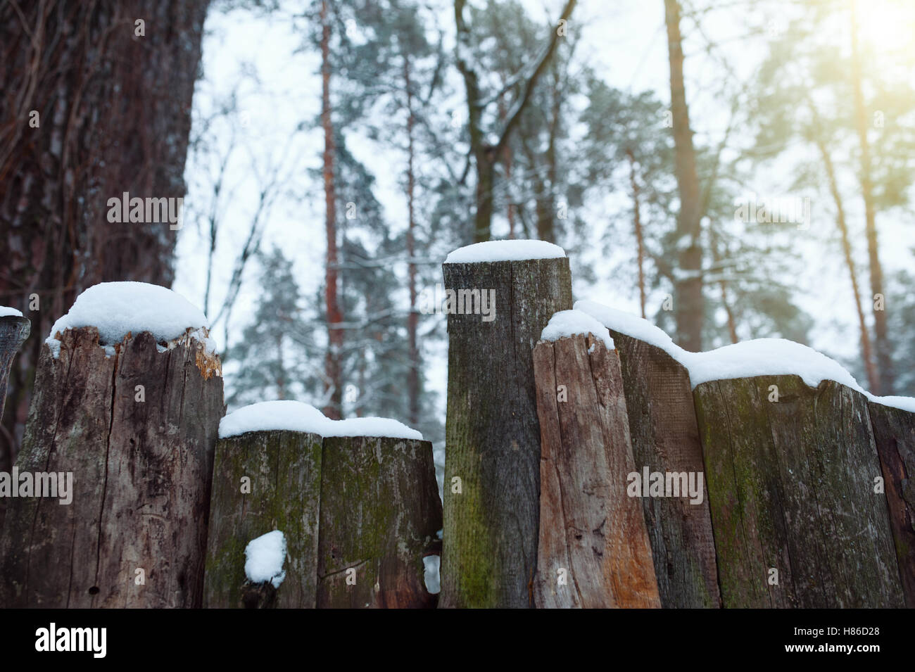 Rustic old garden fence hi-res stock photography and images - Alamy