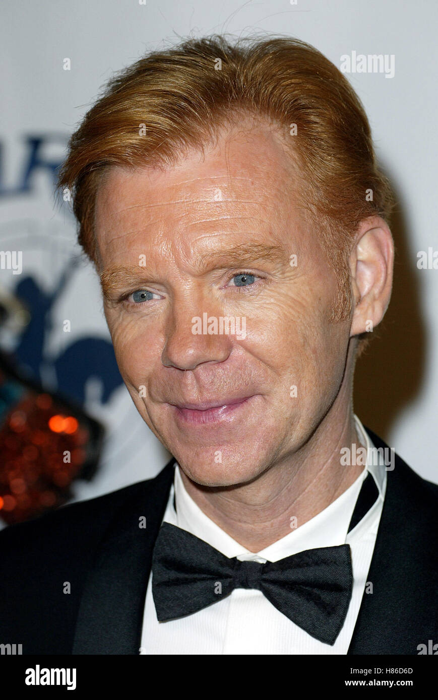 DAVID CARUSO 15TH CAROUSEL OF HOPE BALL BEVERLY HILTON HOTEL BEVERLY(02)
