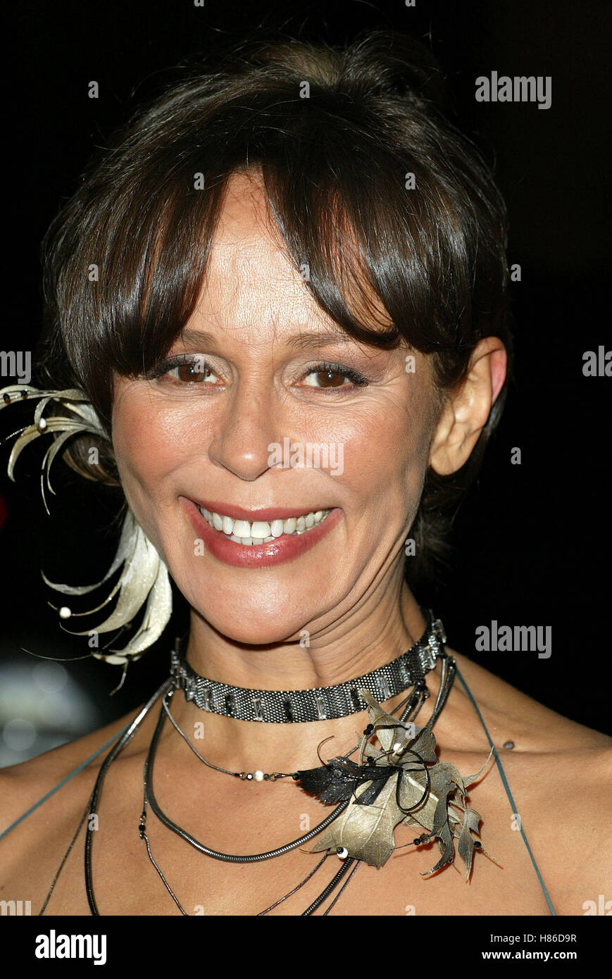 CHRISTINE BOISSON TRUTH ABOUT CHARLIE WORLD PREM ACADEMY OF MOTION PICTURE ARTS BEVERLY HILLS LOS ANGELES 16 October 2002 Stock Photo