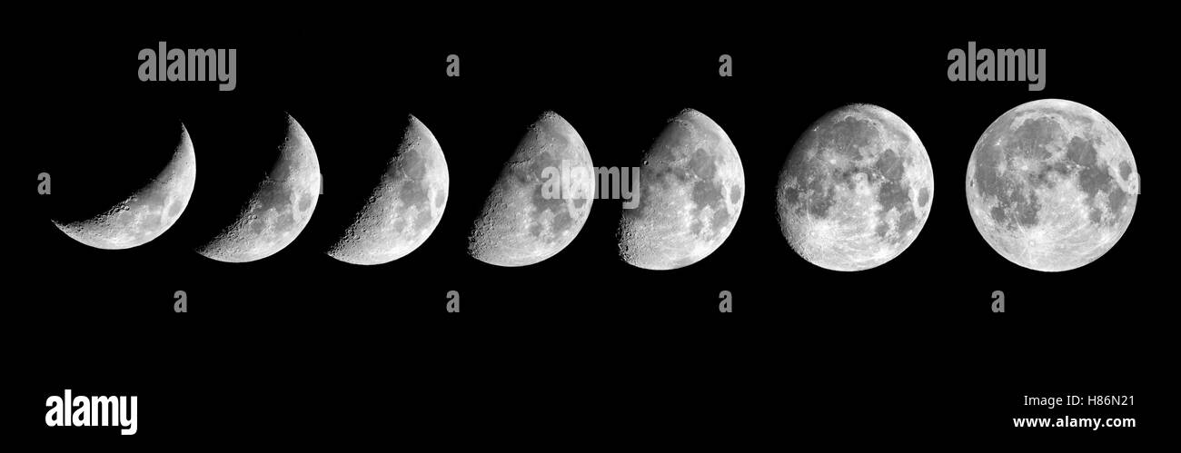 Phases of the Moon Stock Photo