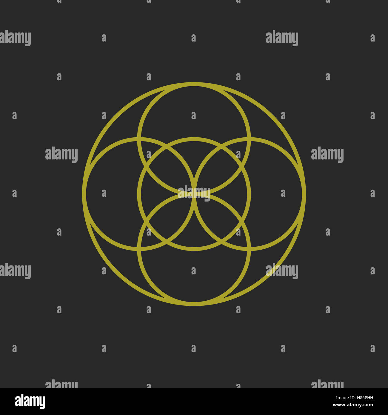 Circle Line In Circle - Vector Stock Photo - Alamy