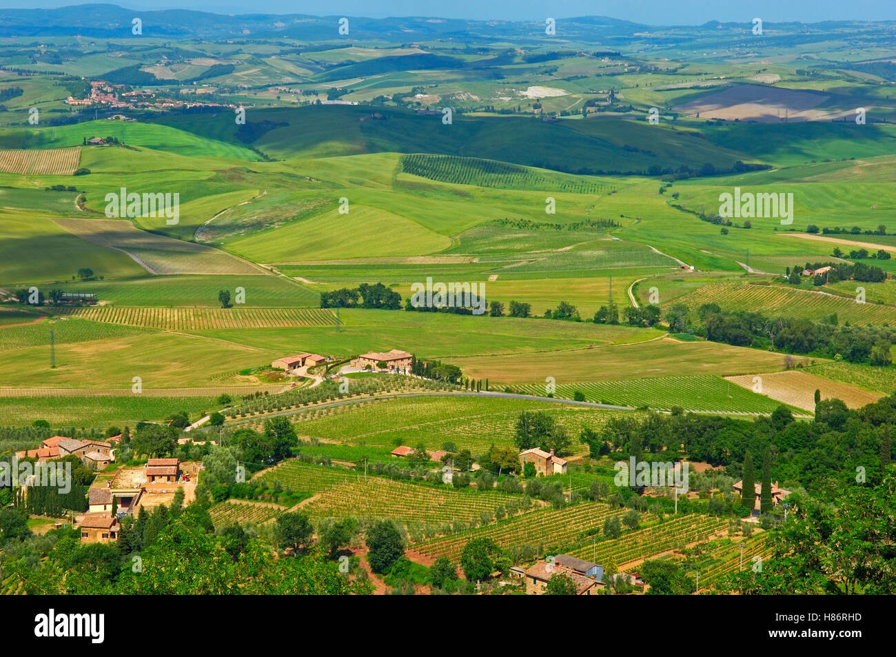 Montalcino, Val d'Orcia, UNESCO World Heritage Site, Tuscany Landscape 