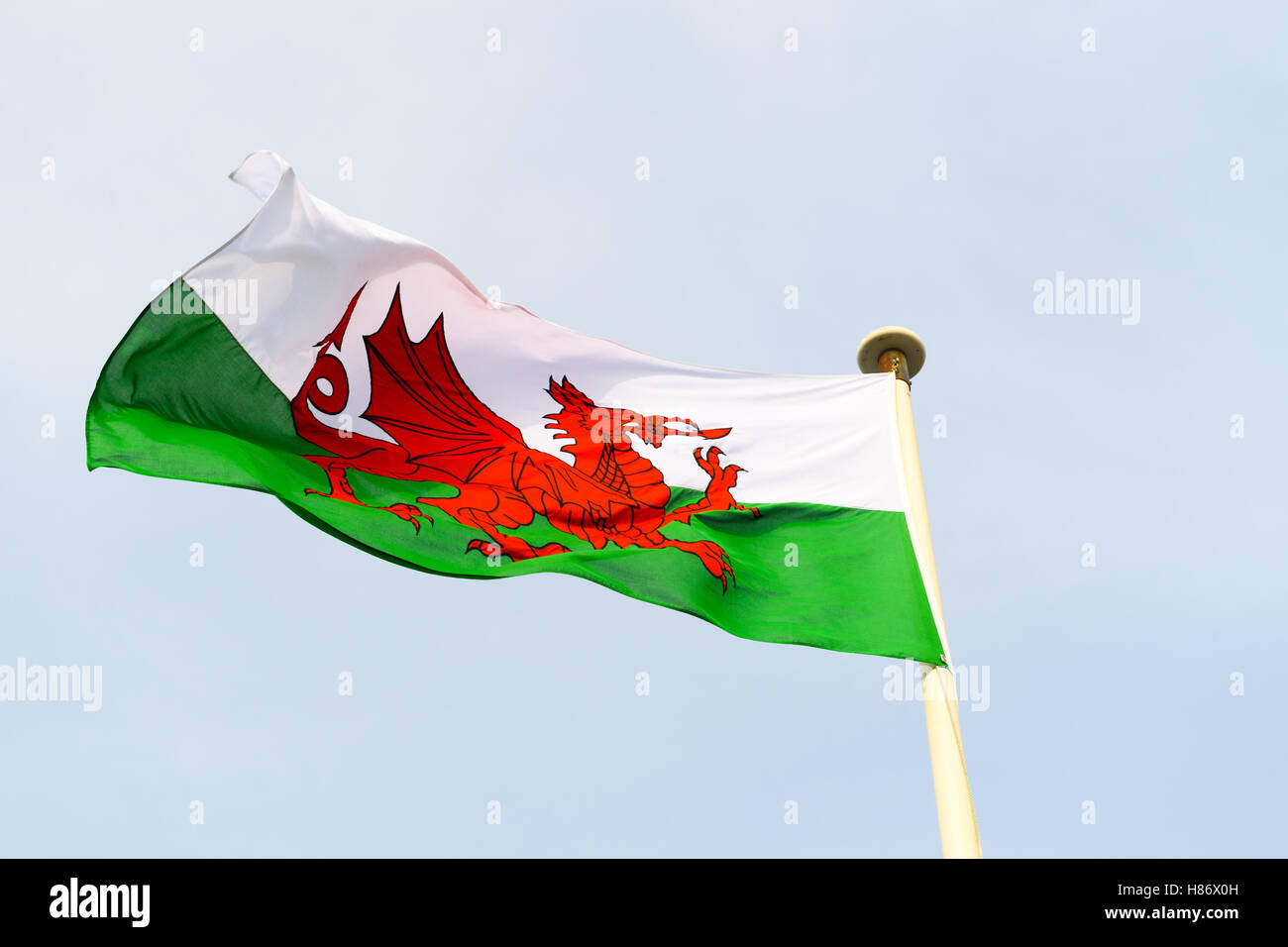 Welsh flag flying above the castle at Caernarfon, Wales. Stock Photo