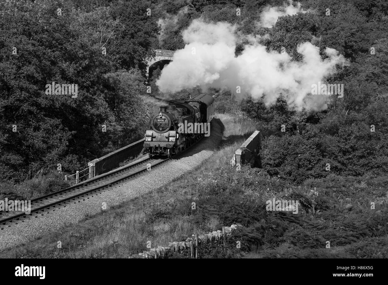 Standrard Tank 80136 on a photographers charter on the North Yorkshire Moors Railway. Stock Photo