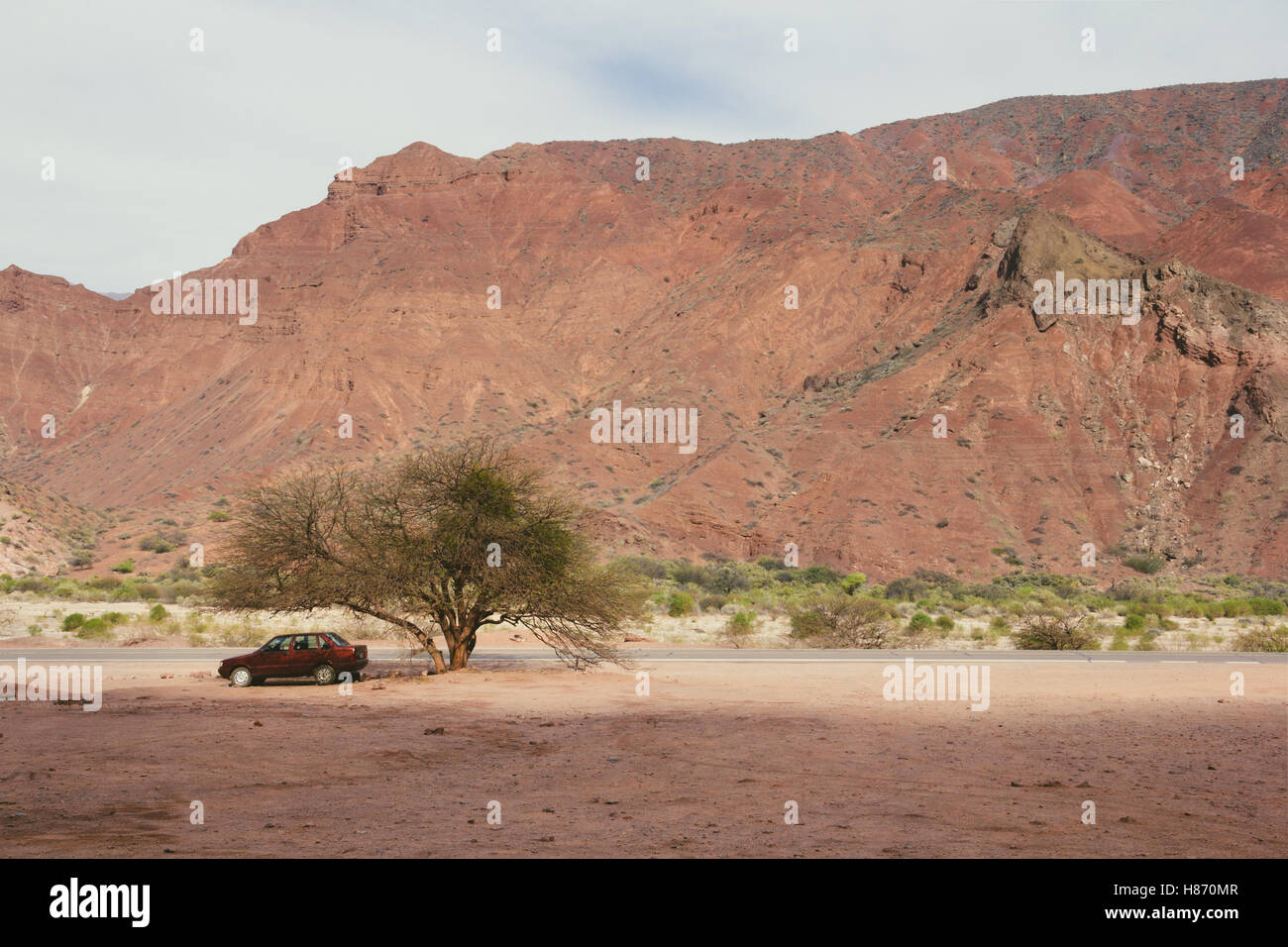 Valles Calchaquíes in Northern Argentina. Road view with a car parked under a tree Stock Photo