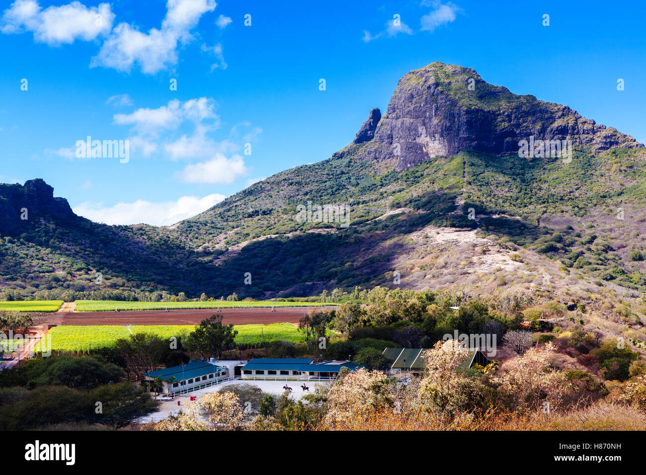 Rempart Mountain (Montagne du Rempart) towering above the observation