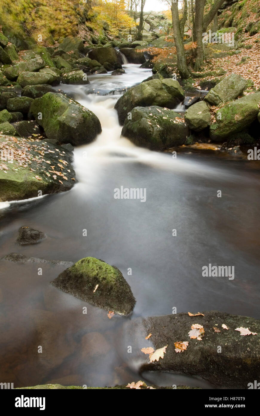 Burbage Brook flows down the forested rocky river valley of Padley ...