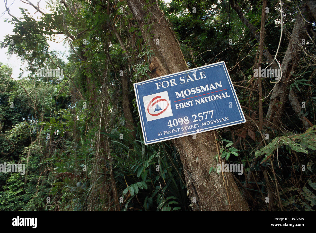 Land parcels for sale in prime tropical rainforest, Daintree National