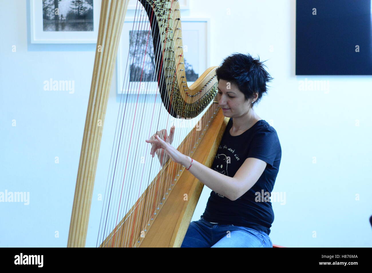 Harp player Stock Photo