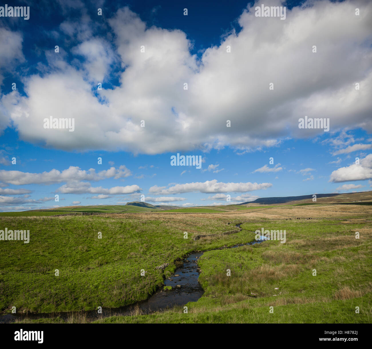 The landscape around Stainforth, Yorkshire Dales, UK. Stock Photo