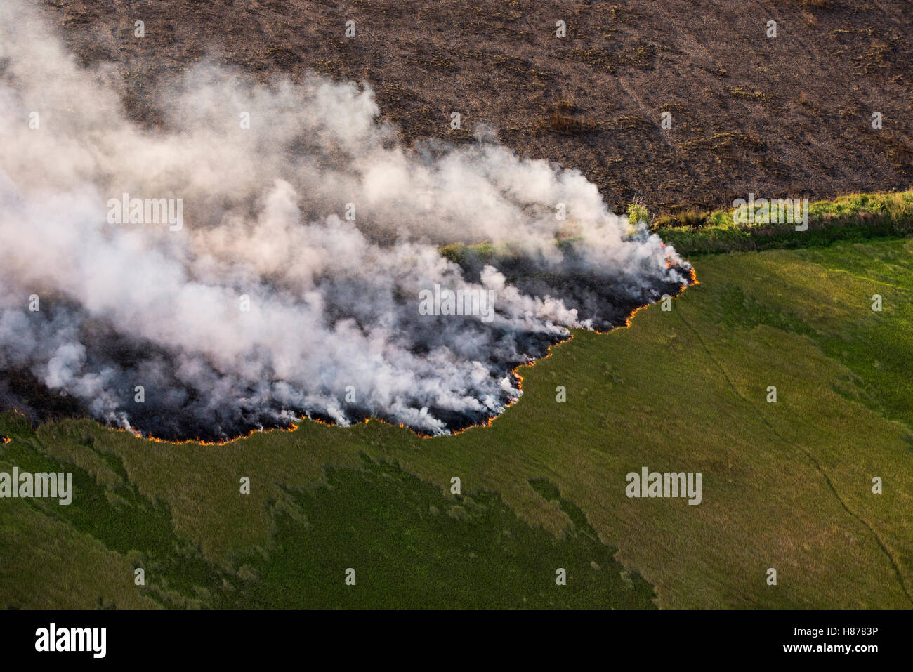 Wildfire on savanna east of East Demerara Conservancy