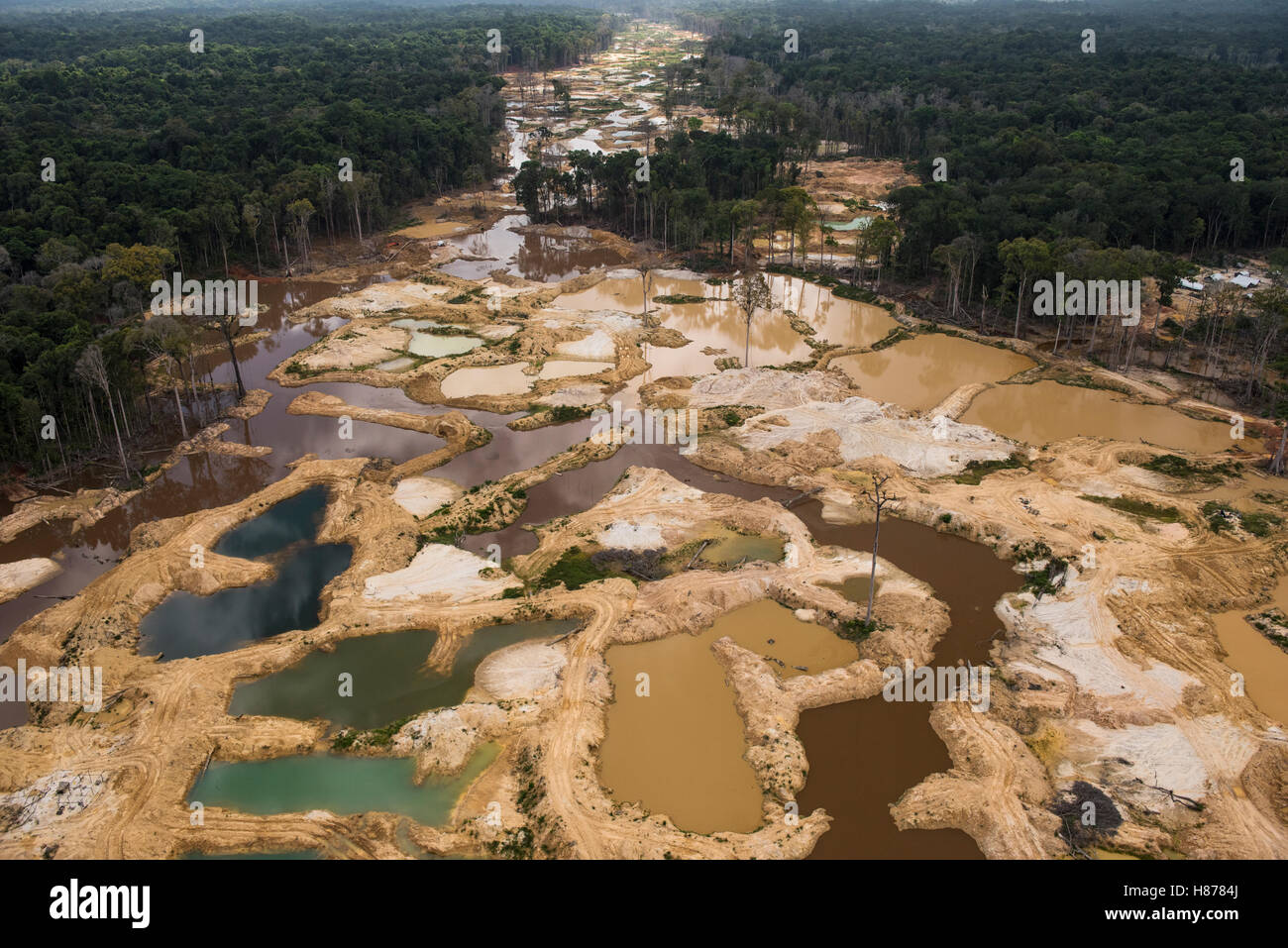 Gold mining in rainforest, Guyana Stock Photo Alamy