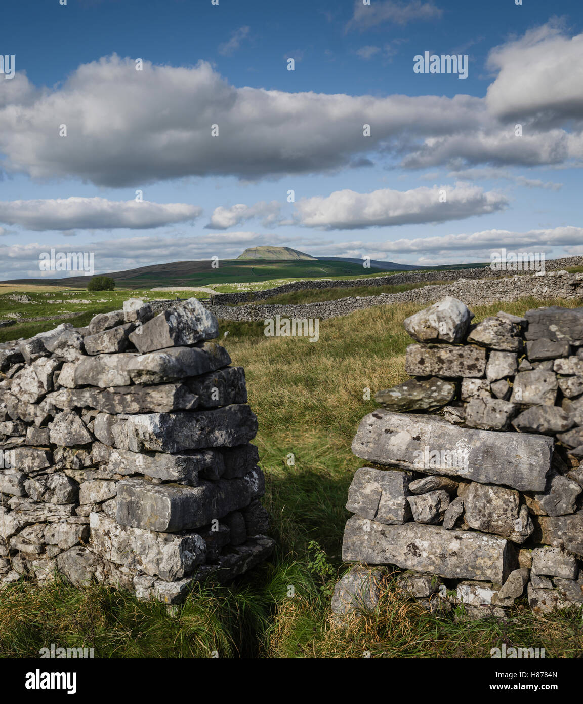 The landscape around Stainforth, Yorkshire Dales, UK. Stock Photo