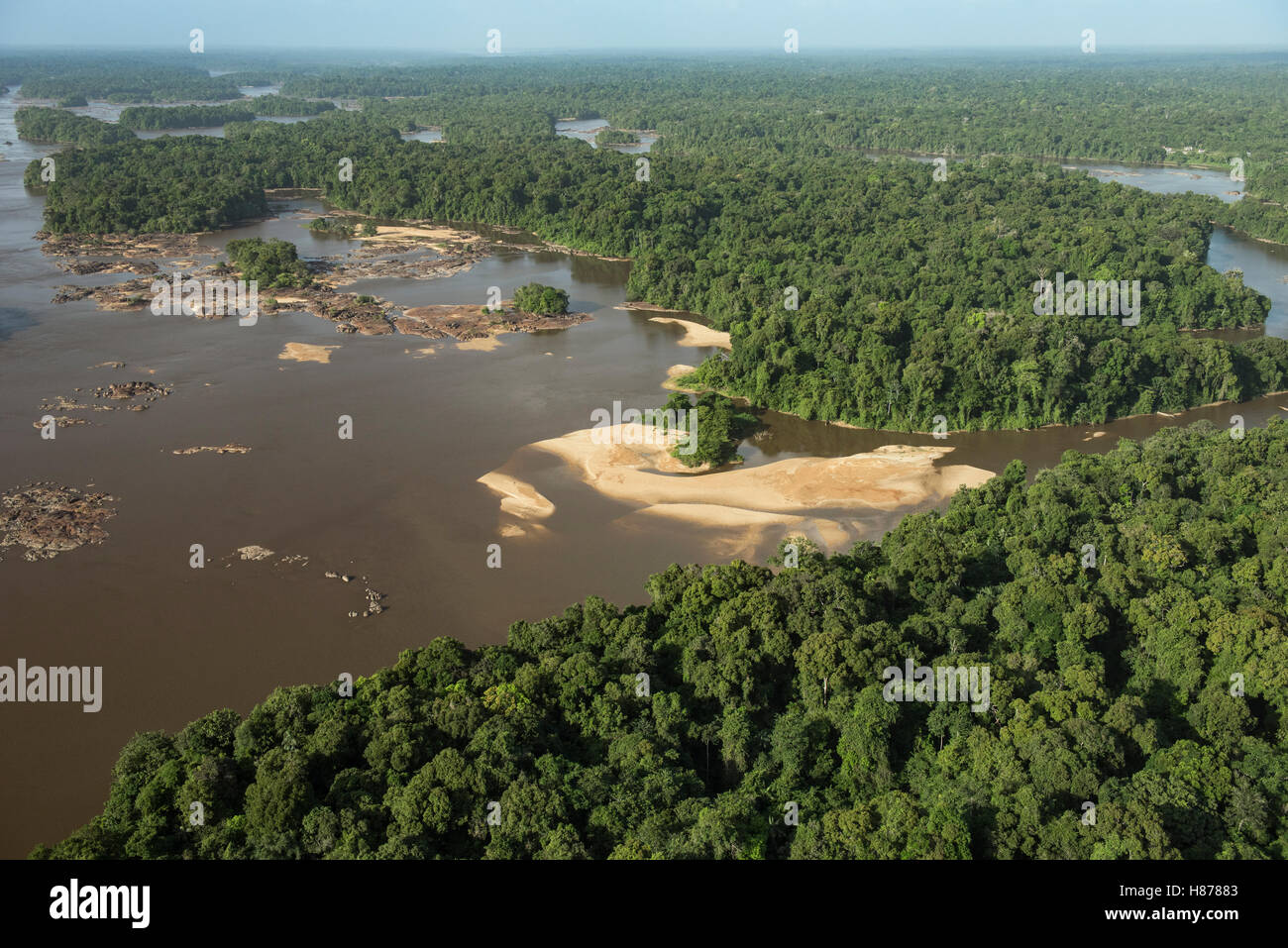 Essequibo River in rainforest, Guyana Stock Photo - Alamy