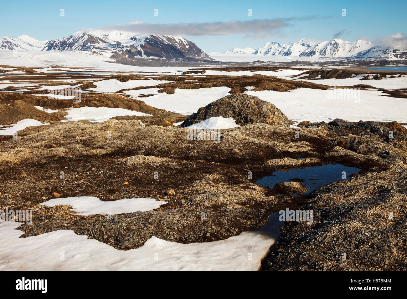 Tundra with last snow in summer, Spitsbergen, Svalbard, Norway Stock