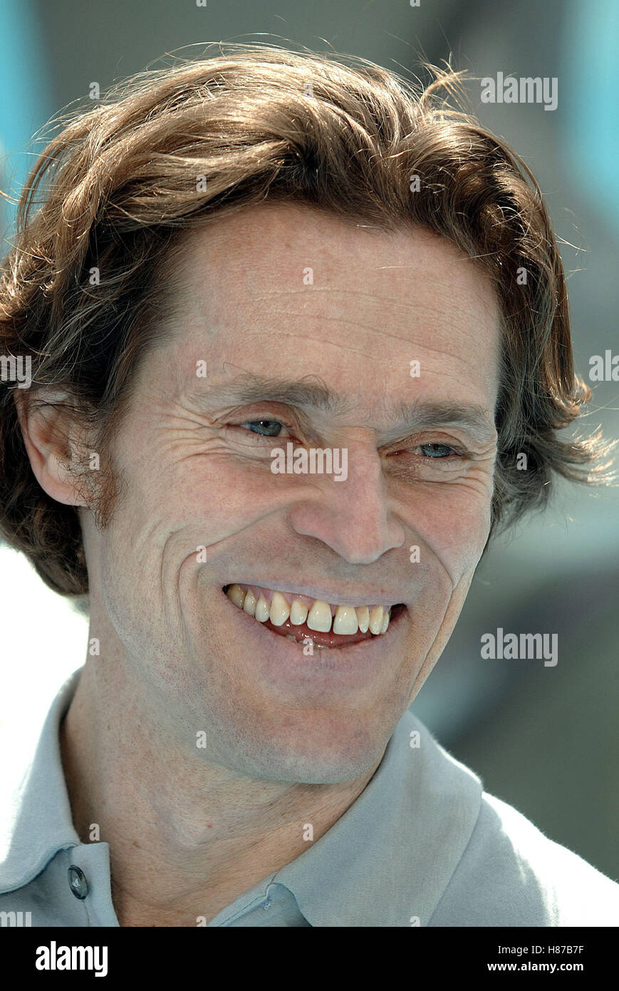 WILLEM DAFOE FINDING NEMO WORLD PREMIERE HOLLYWOOD LOS ANGELES USA 18 May 2003 Stock Photo