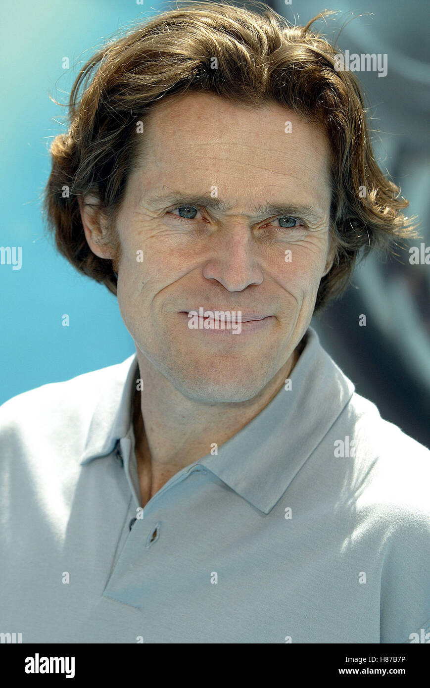 WILLEM DAFOE FINDING NEMO WORLD PREMIERE HOLLYWOOD LOS ANGELES USA 18 May 2003 Stock Photo