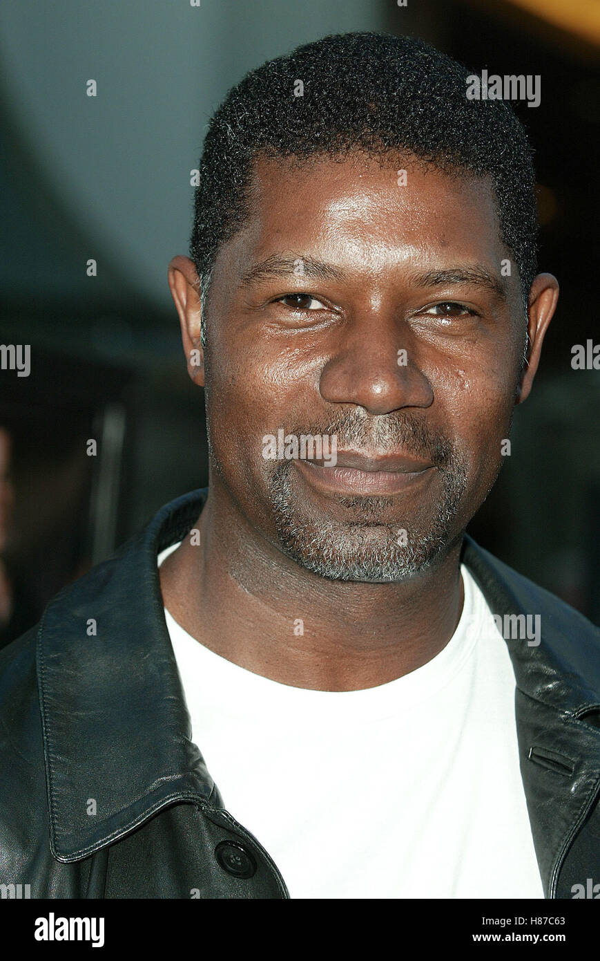 DENNIS HAYSBERT THE ITALIAN JOB WORLD PREMIER GRAUMAN’S CHINESE THEATRE