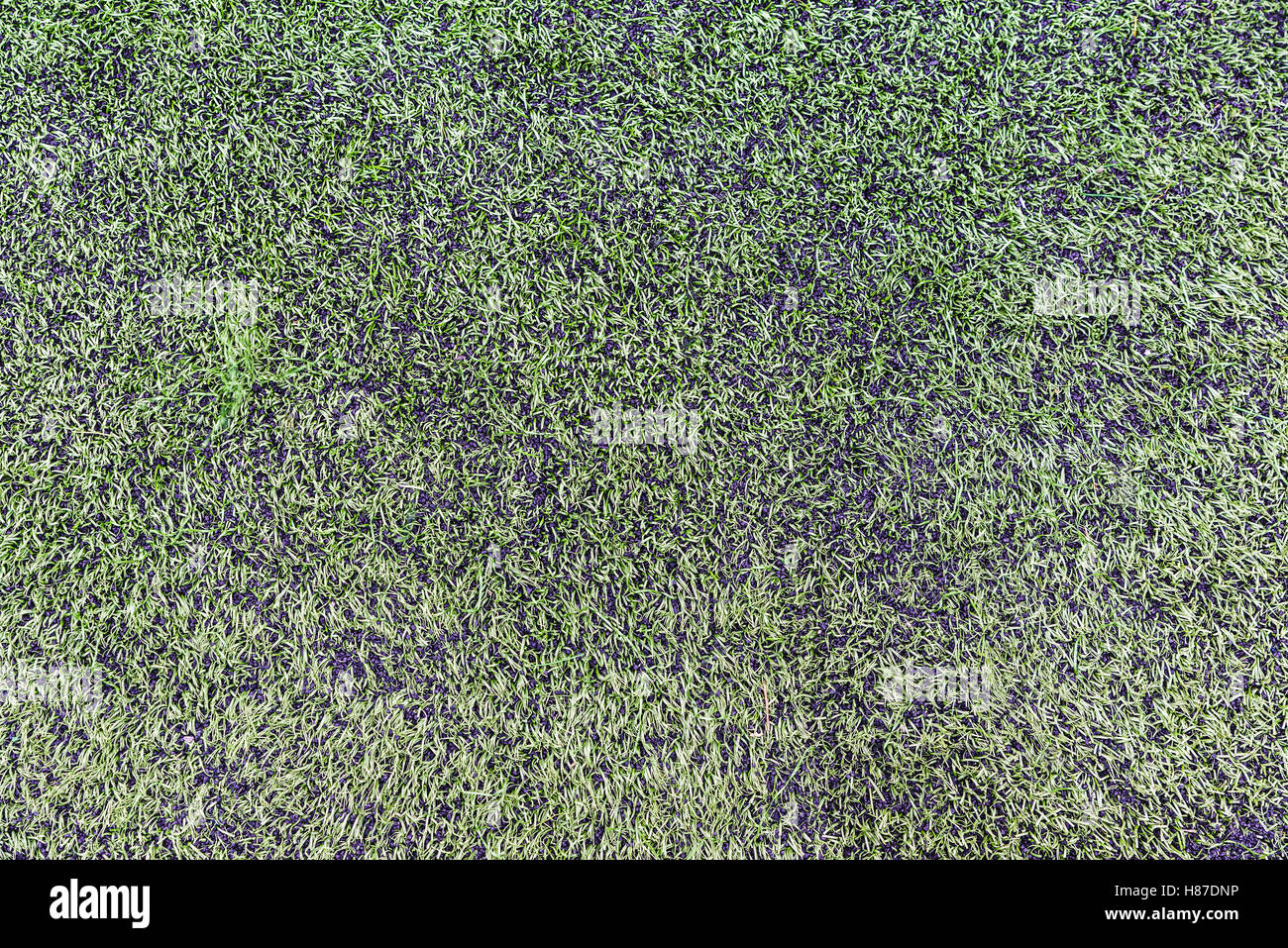 Soccer field made of bits of black synthetic rubber and plastic grass Stock Photo
