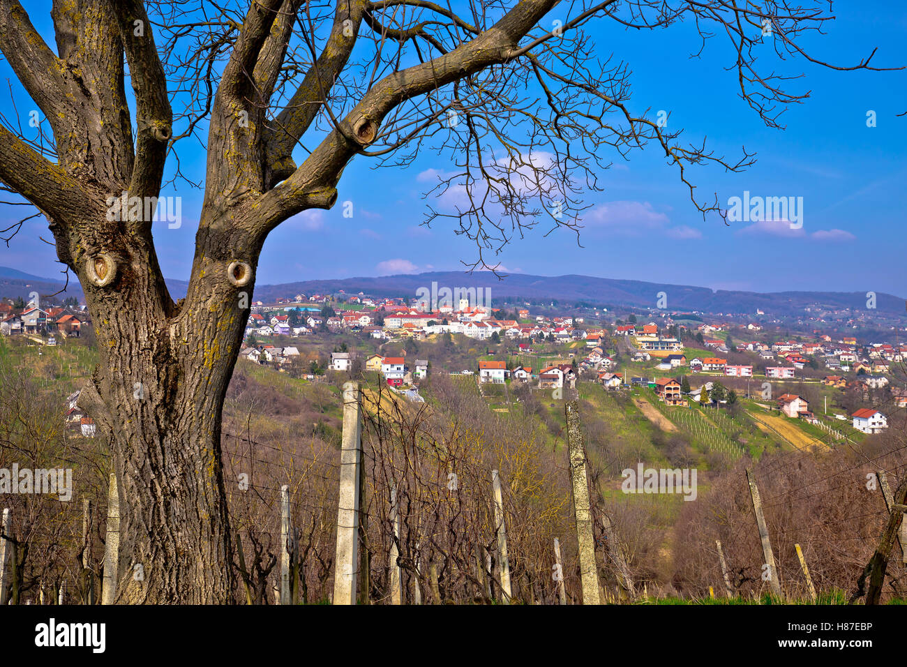 Town of Sveti Ivan Zelina in Prigorje, Croatia Stock Photo
